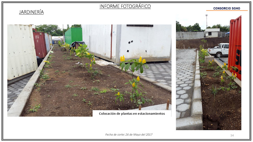 Informe